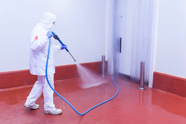 Best Building Exterior Washing  in Independence, WI